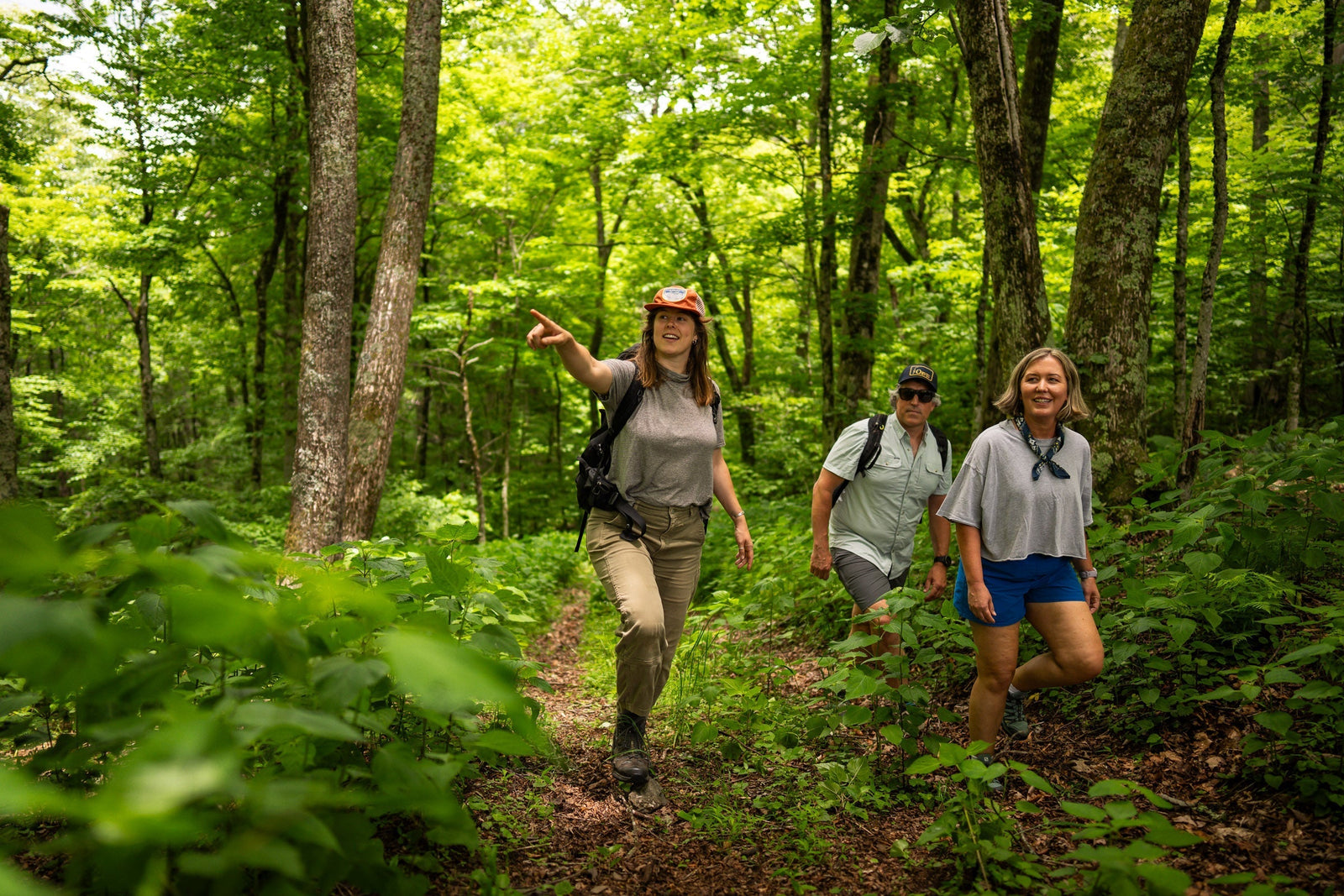Top 5 Trails Near Boone, North Carolina