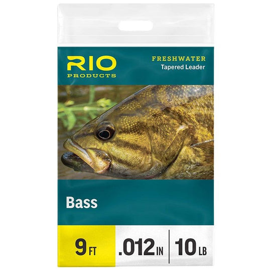 RIO Bass Leader Single Image 01