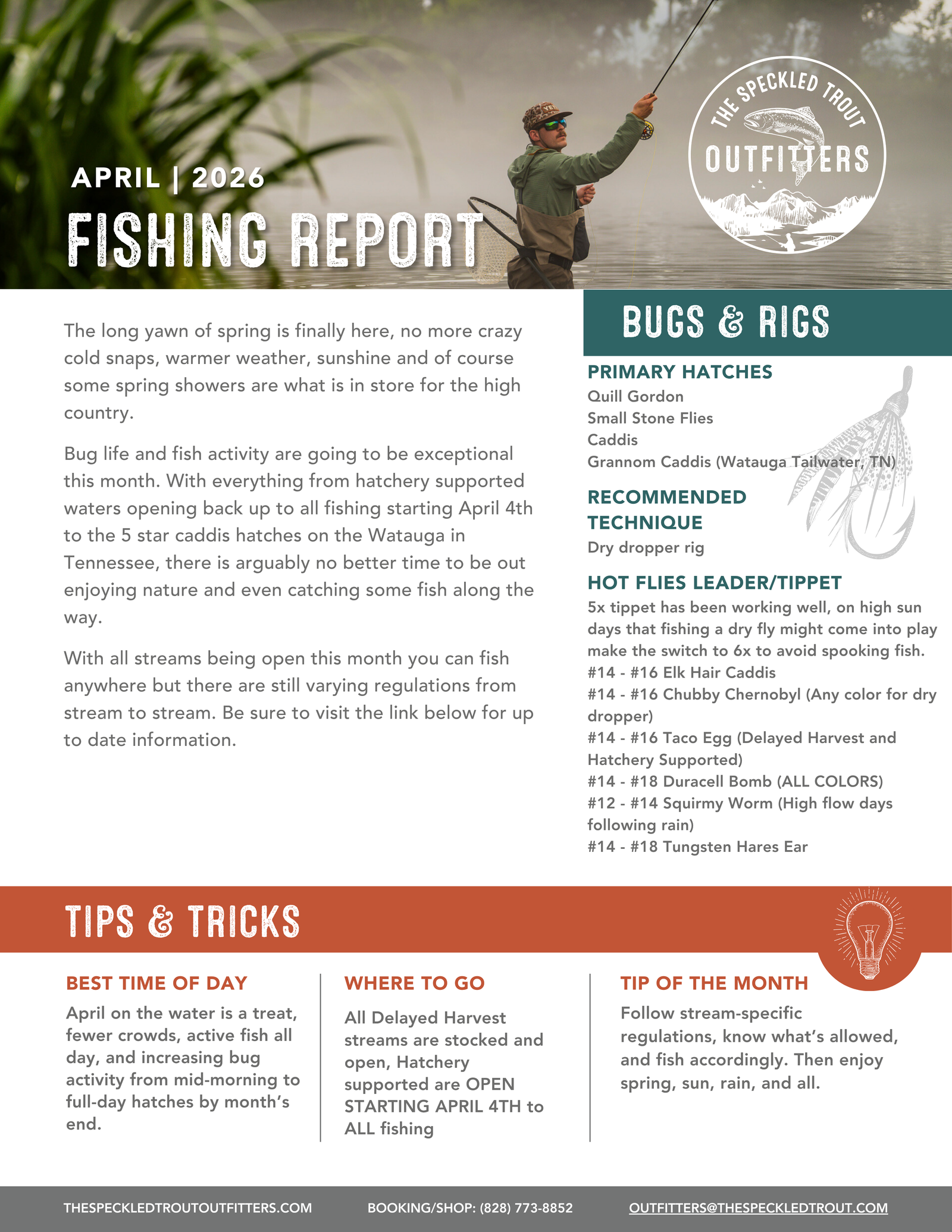 April Fishing Report in the Blue Ridge Mountains