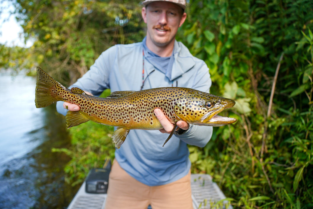 Chasing Big Browns on the White River: Arkansas with The Speckled Trout Outfitters