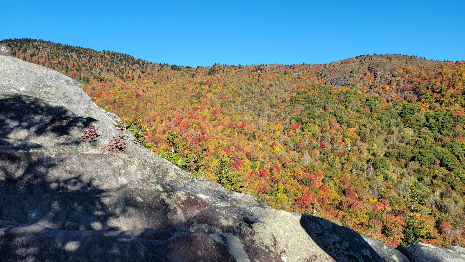 Fall Color Forecast and Trail Guide
