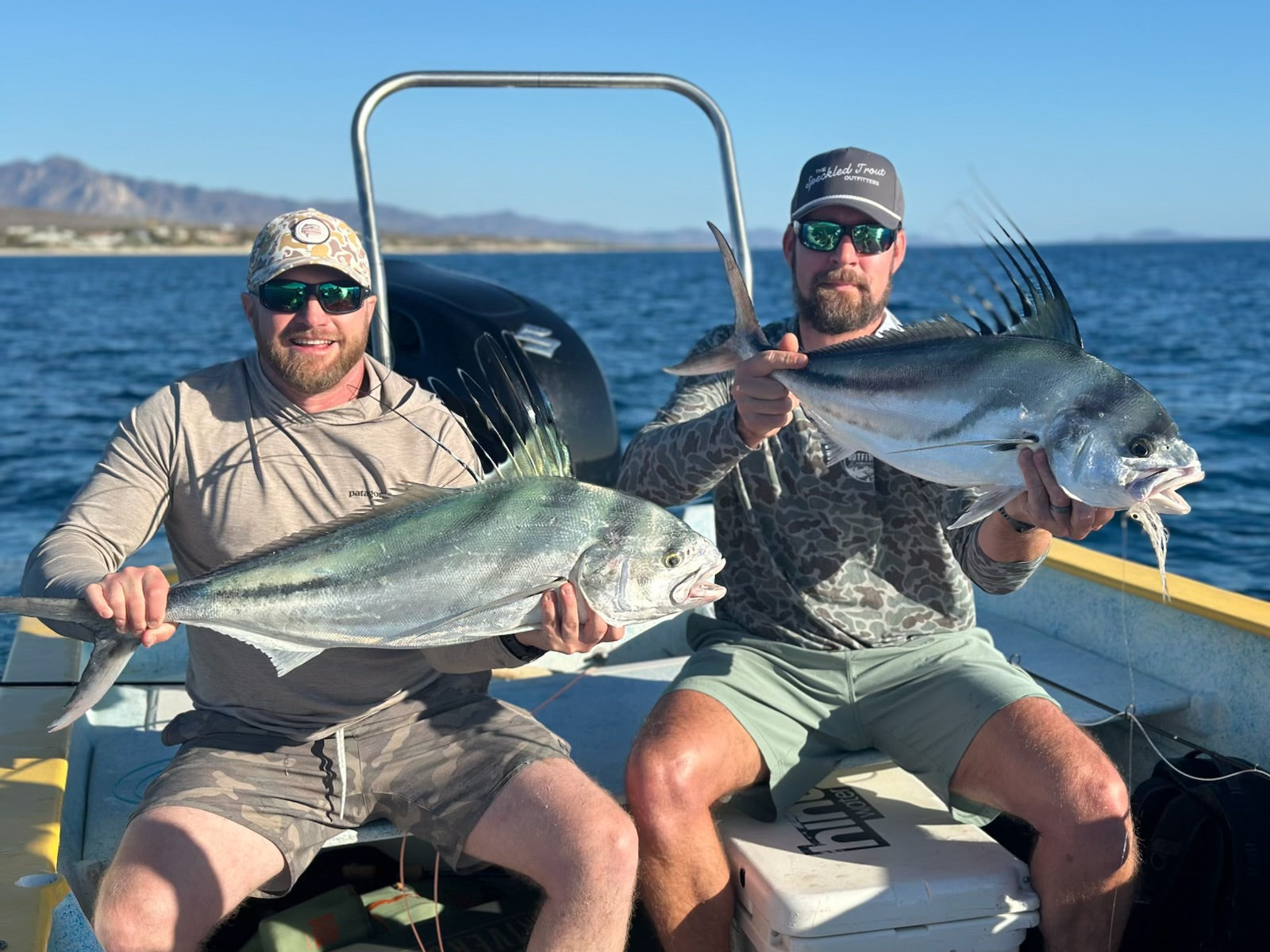 Baja, Mexico, Where Desert Meets the Sea