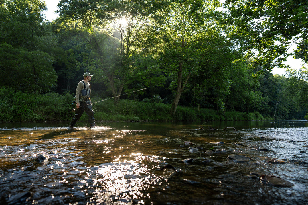 The Speckled Trout Outfitters: Autumn Fly Fishing and the Heart of Leaf Season