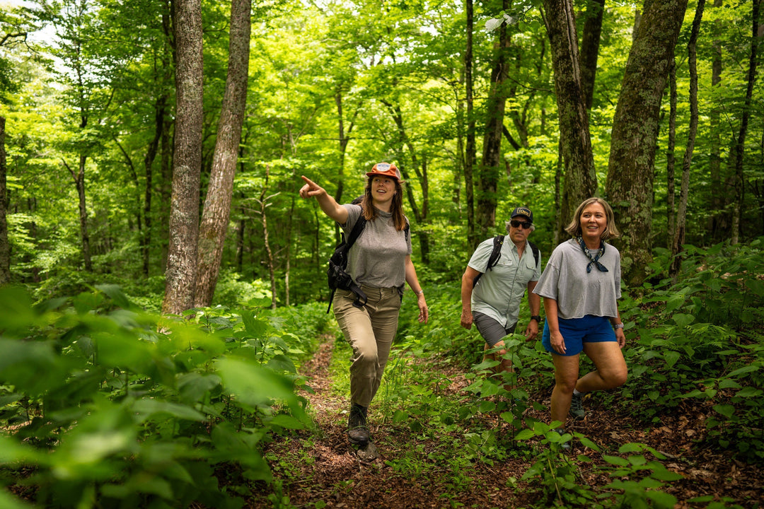 Top 5 Trails Near Boone, North Carolina