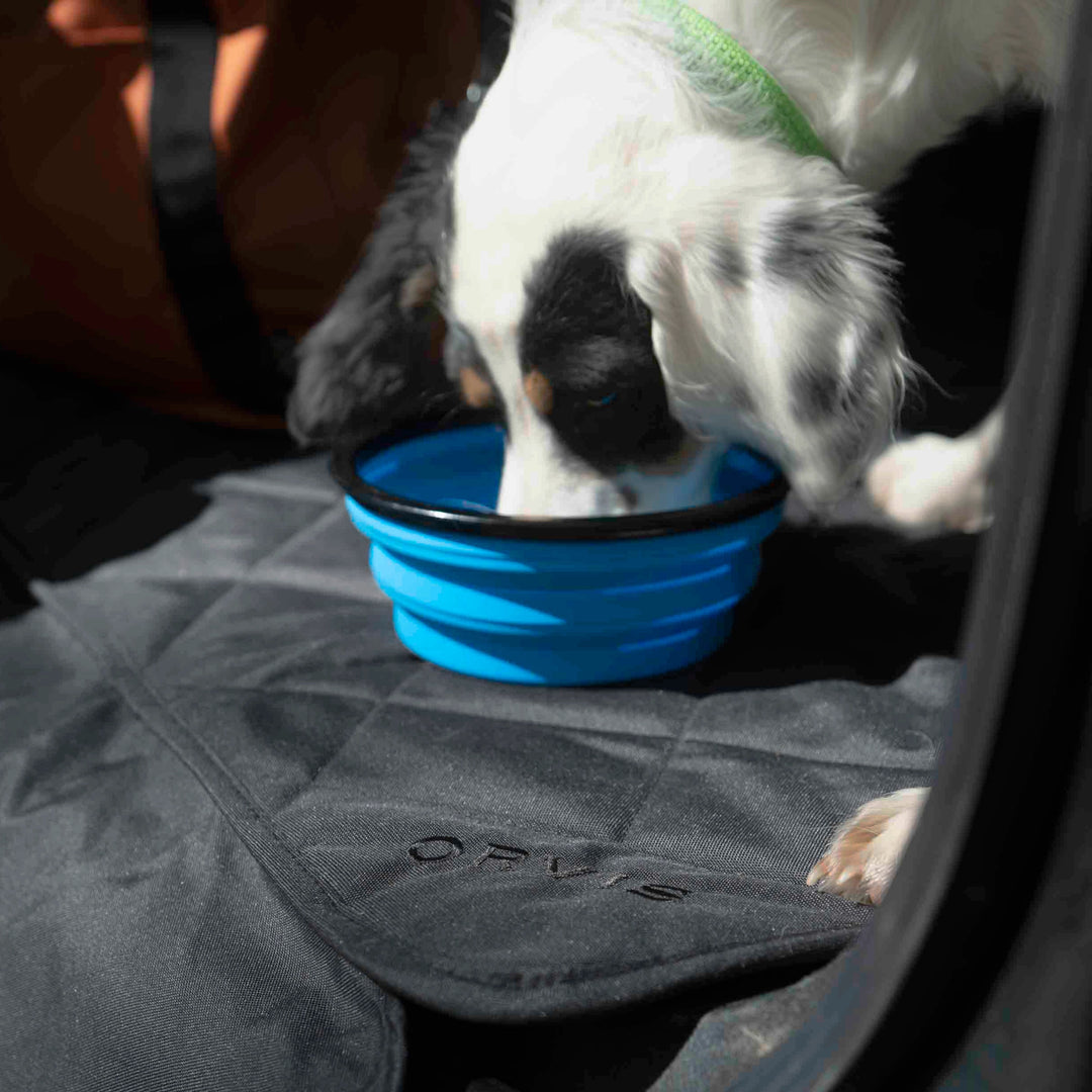 Orvis Tough Trail Collapsible Dog Bowl Image 01