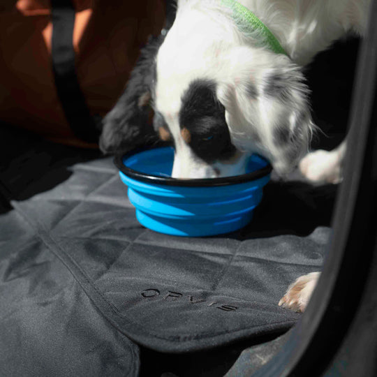 Orvis Tough Trail Collapsible Dog Bowl Image 01