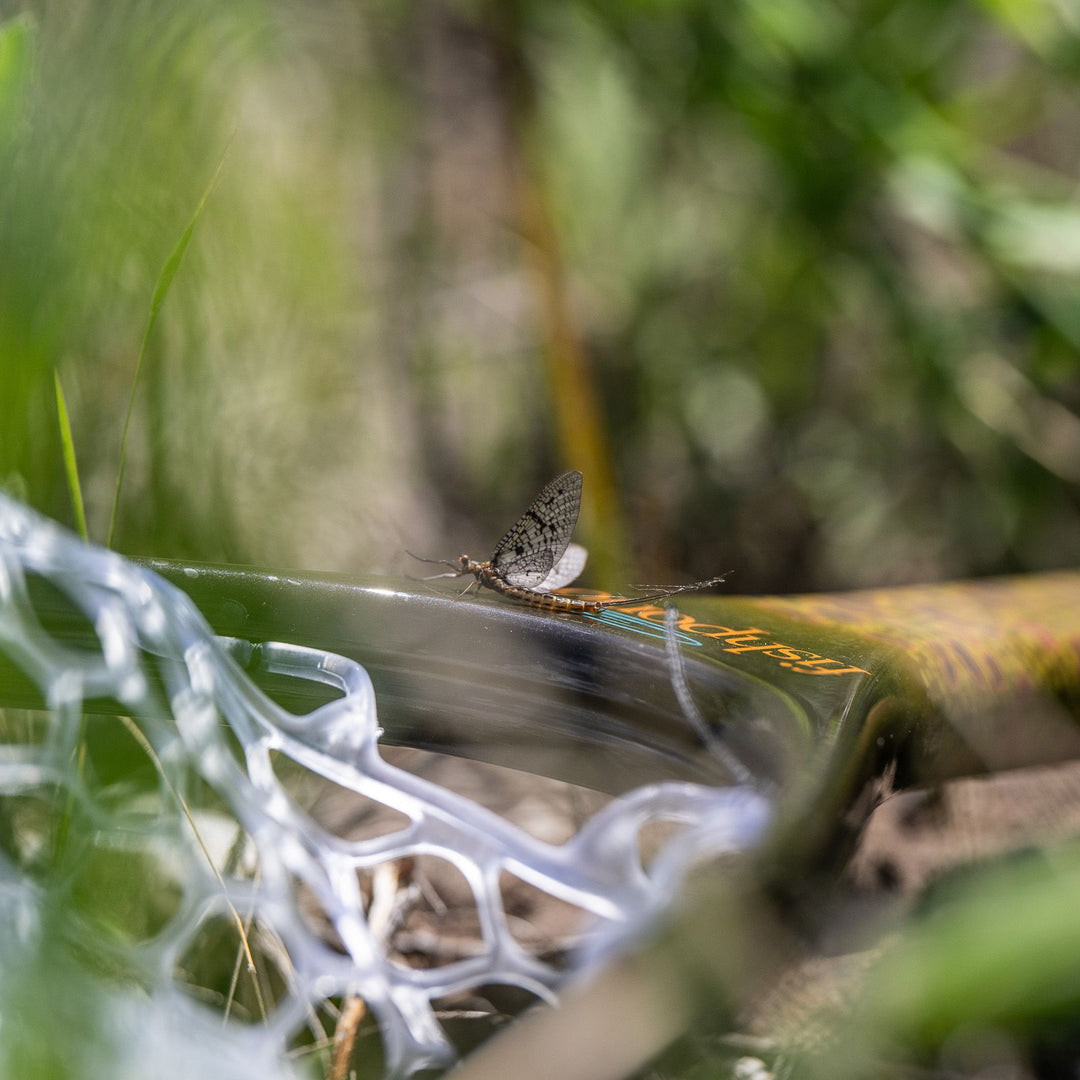 Fishpond Nomad Canyon Net Image 09