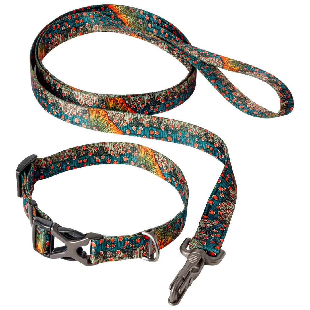 Orvis x Fishe Wear Dog Collar Beauty & Bonefish Image 02