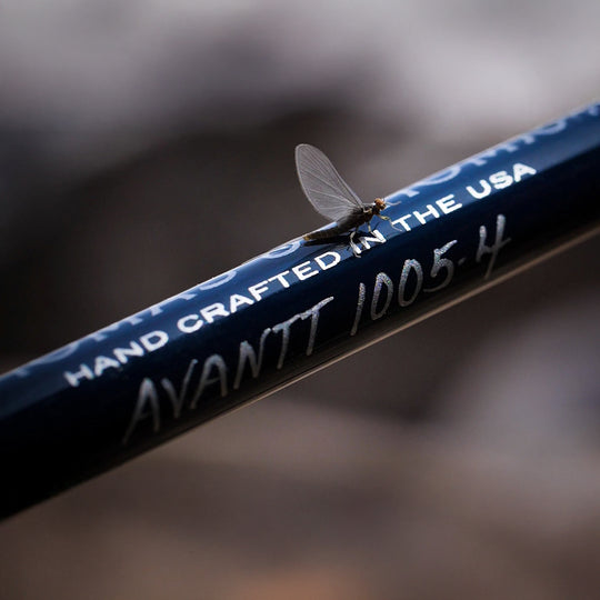 Thomas & Thomas Avantt Fly Rod Image 04