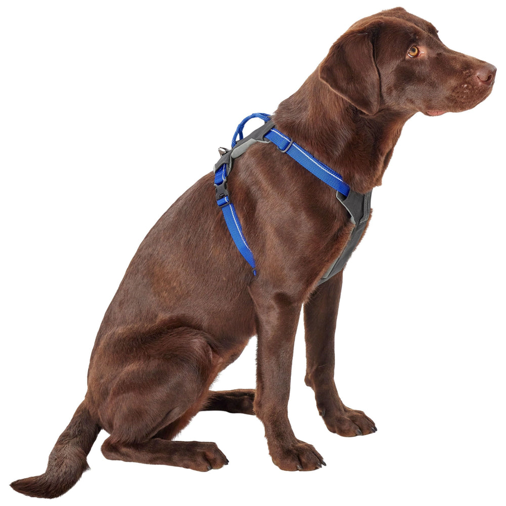 Orvis Tough Trail 4 Point Harness Blue Image 02