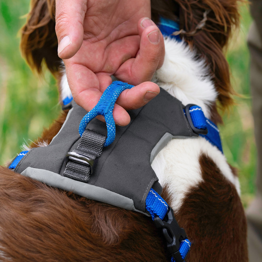 Orvis Tough Trail 4 Point Harness Blue Image 04
