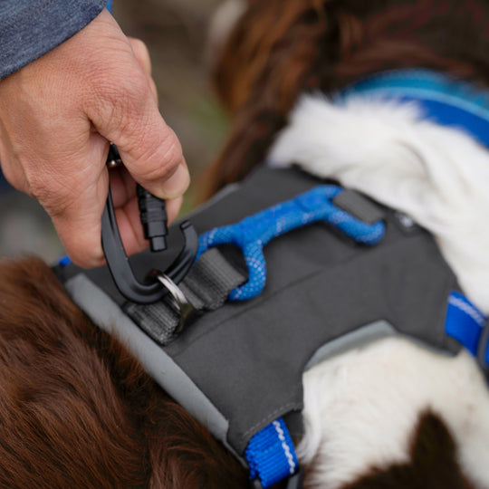 Orvis Tough Trail 4 Point Harness Blue Image 05