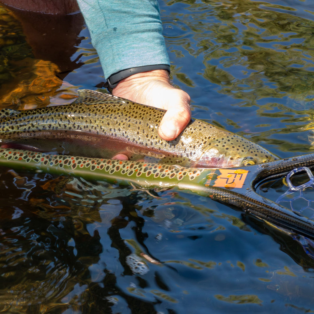 Fishpond Nomad Middle Fork Net Brown Trout Image 02