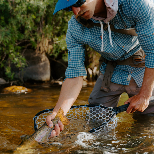 Rising Brookie Net Image 04