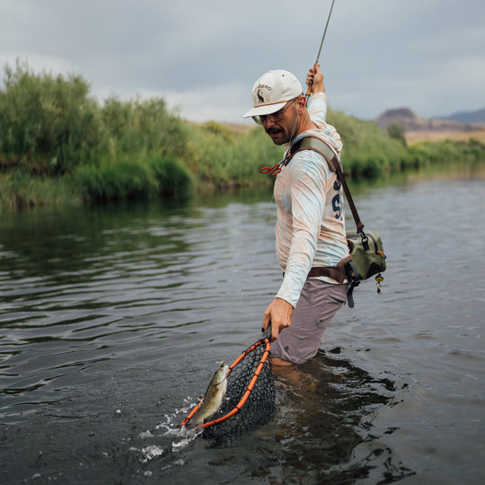 Rising Brookie Net Image 05