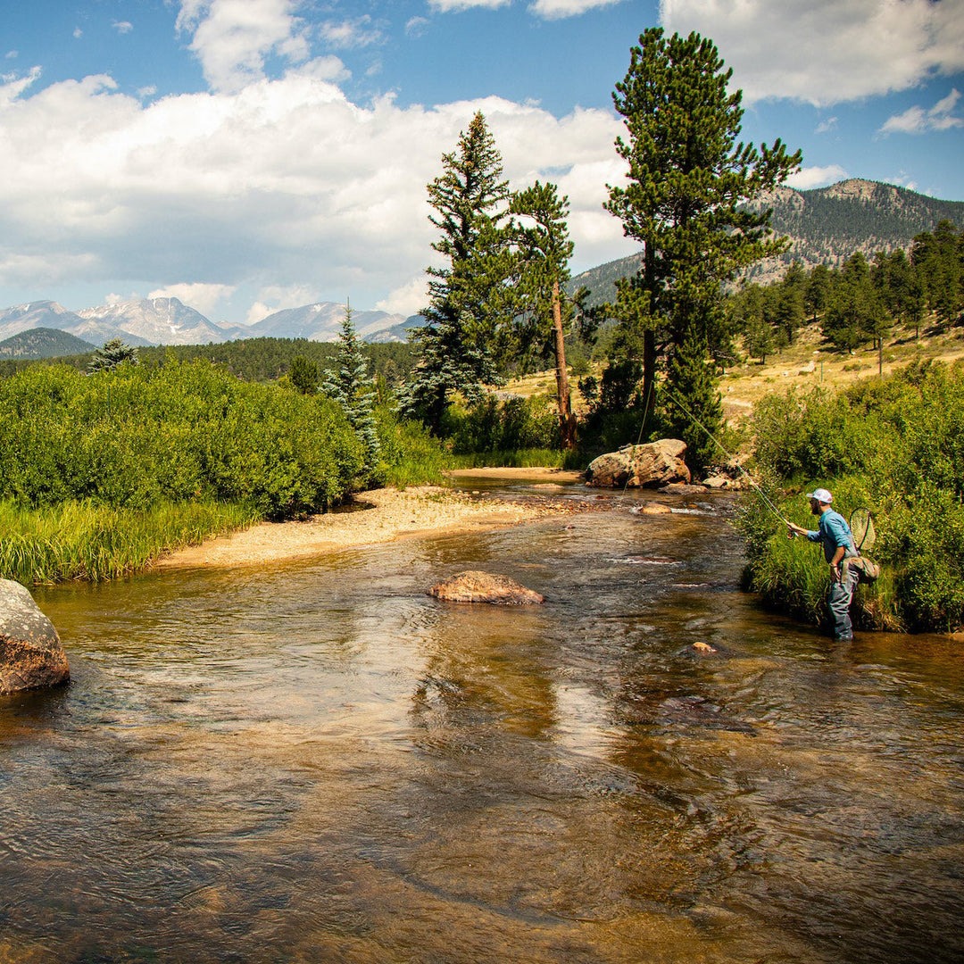 Thomas & Thomas Avantt II Fly Rod Image 02