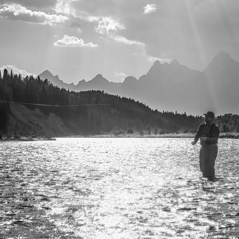 Thomas & Thomas Avantt II Fly Rod Image 03