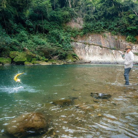 Thomas & Thomas Exocett 88 Fly Rod Image 10