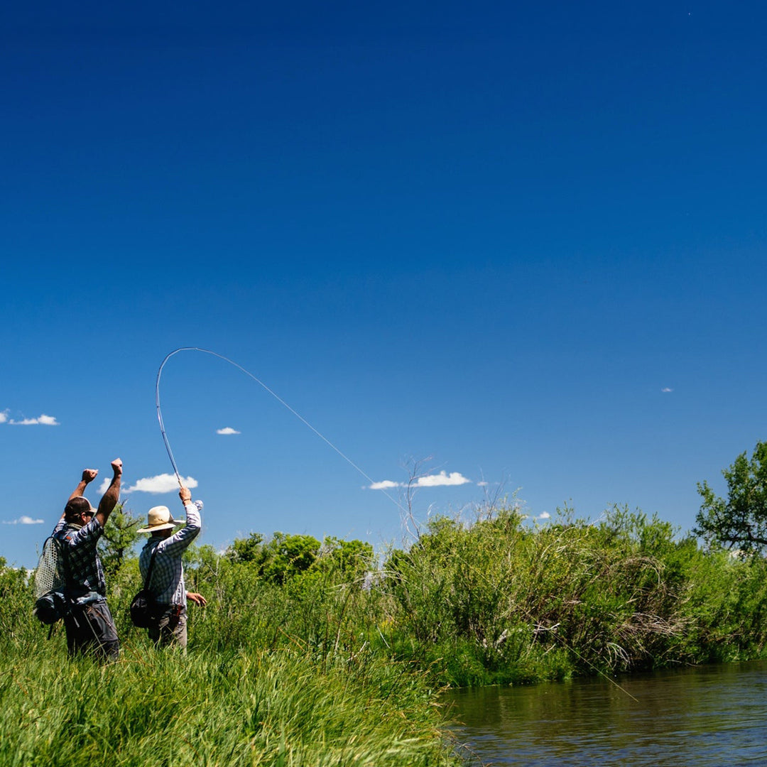 Thomas & Thomas Lotic Fly Rod Image 04