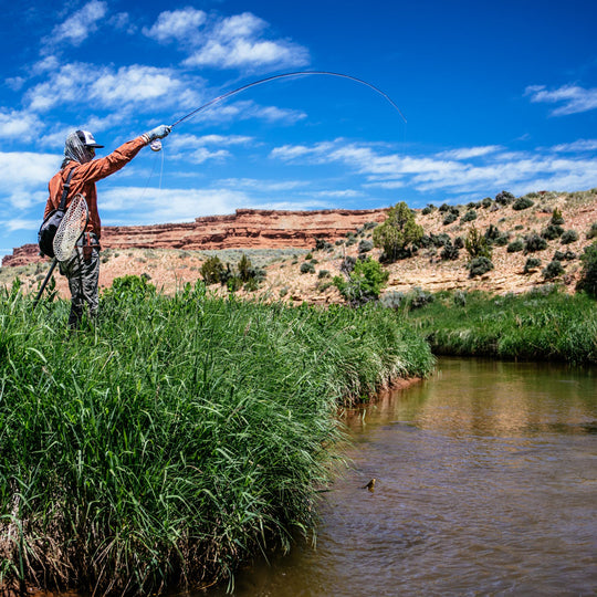 Thomas & Thomas Lotic Fly Rod Image 05