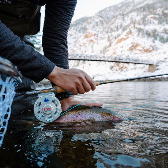 Ross Reels Coors Light Cimarron LT Fly Reel
