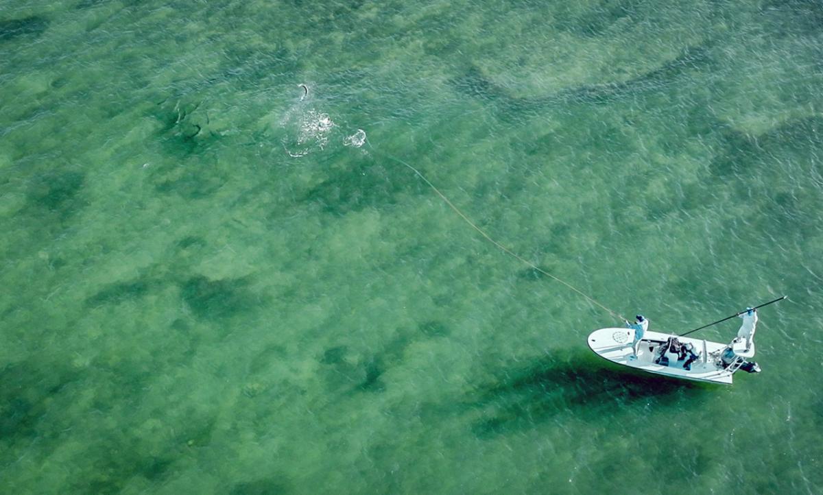 cuba-jdr-tarpon-catch