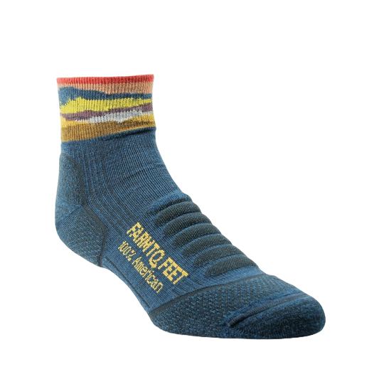Farm to Feet American Trail Max Patch Light Targeted Cushion 1/4 Crew Sock